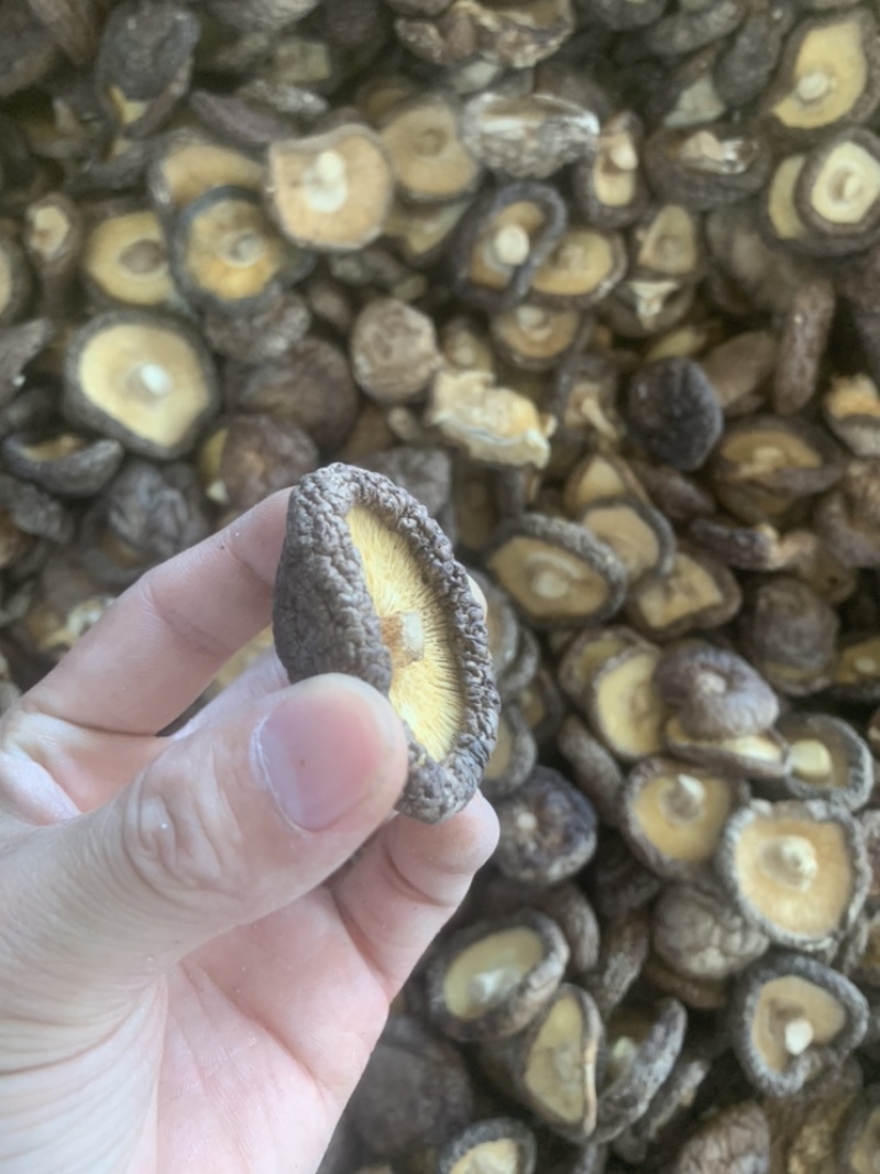 2021秋季新货香菇干货颜色好肉厚干香菇产地直供批发价位