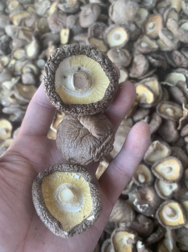2021秋季新货香菇干货颜色好肉厚干香菇产地直供批发价位