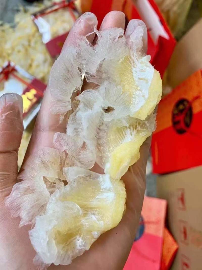 小鱼翅金勾翅鱼翅仔酒楼酒店炖汤食材味道鲜甜送礼佳品