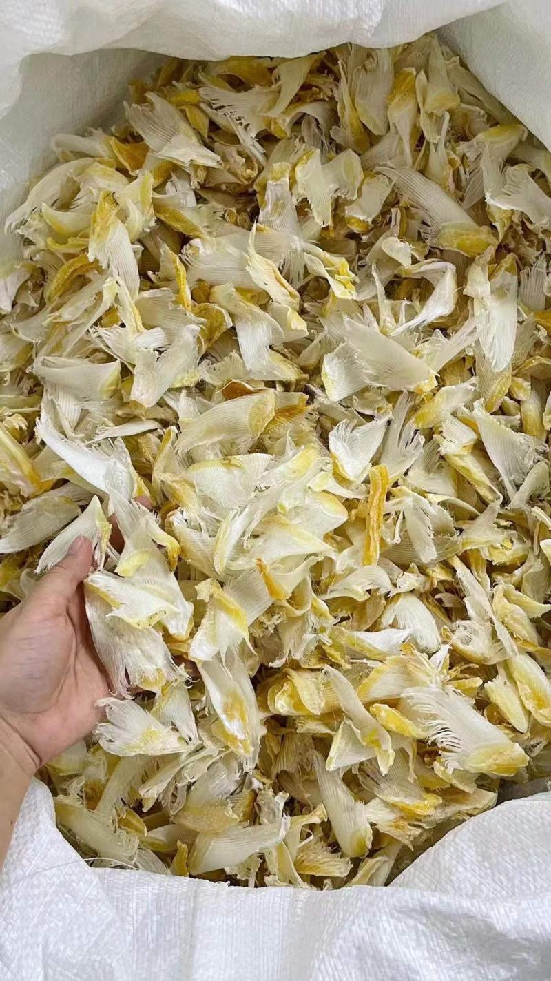 小鱼翅金勾翅鱼翅仔酒楼酒店炖汤食材味道鲜甜送礼佳品