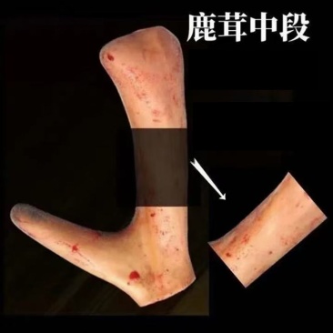 老御头鲜鹿茸中段100g起批泡酒煲汤带血鹿茸泡酒炖