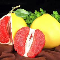 [一件玳发]蜜柚红心柚电商供应链红心柚，柚子，电商