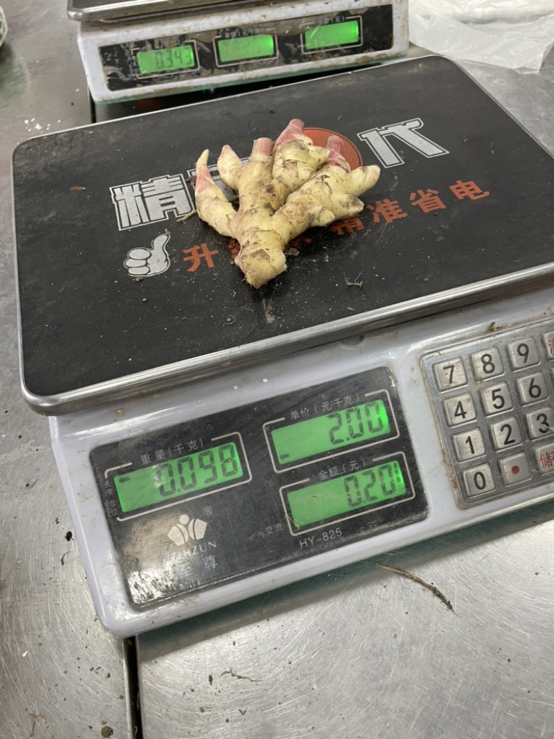 新鲜现挖带泥小黄姜嫩姜