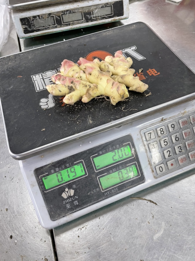 新鲜现挖带泥小黄姜嫩姜