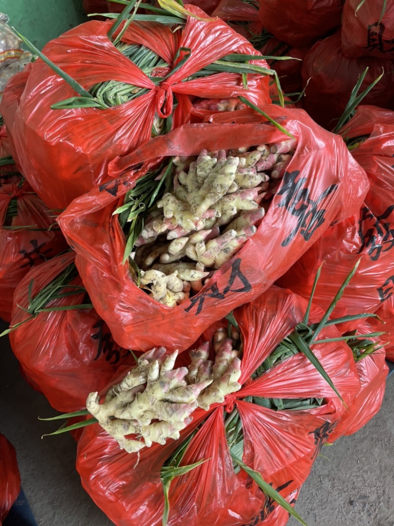 新鲜现挖带泥小黄姜嫩姜