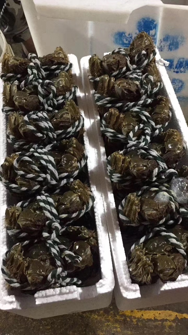 金湖大闸蟹礼盒