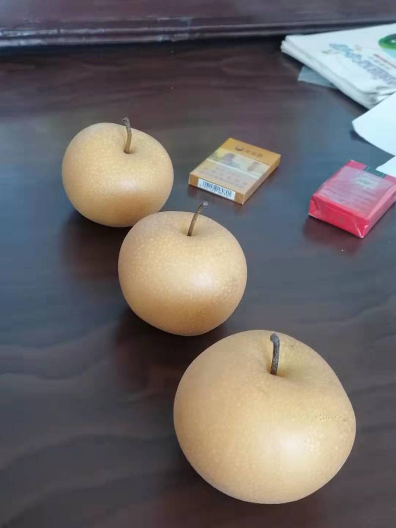 有部分4两以下秋月梨