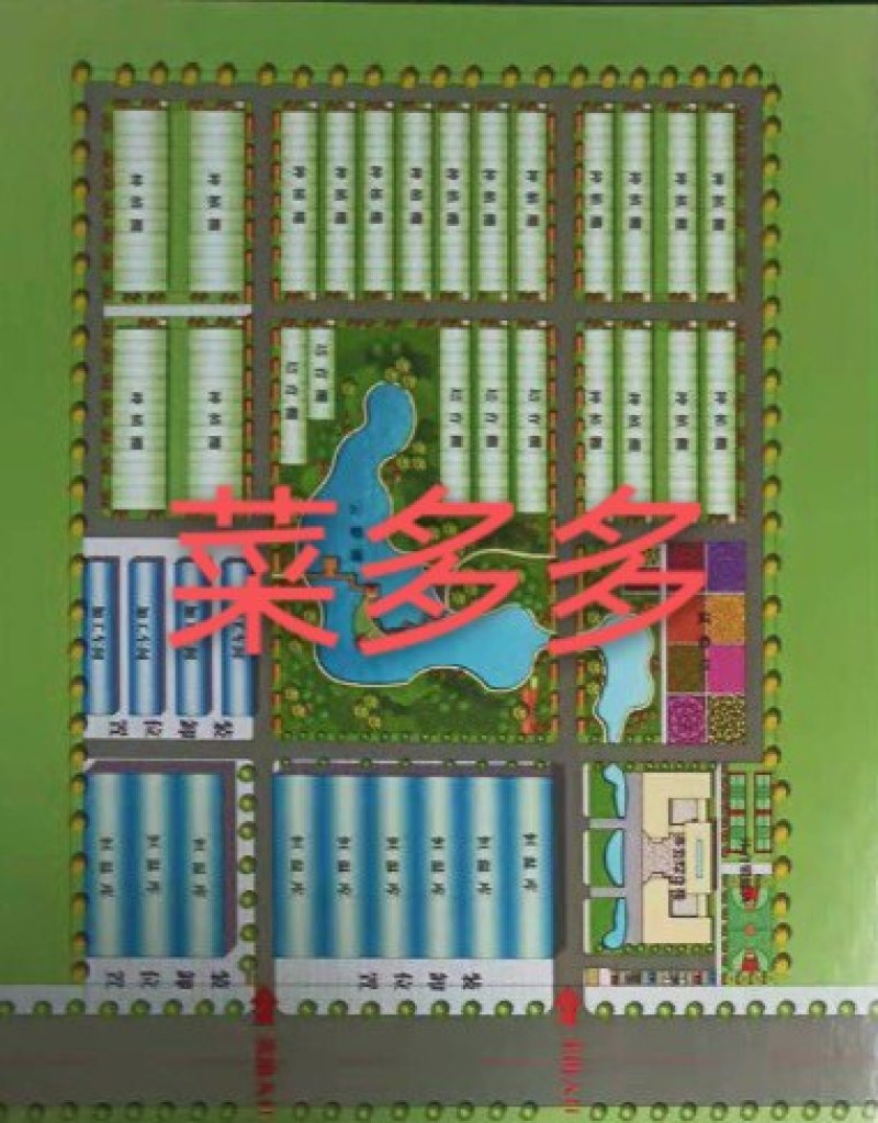 青储玉米秸秆青储饲料玉米秸秆山东省安丘市景芝镇