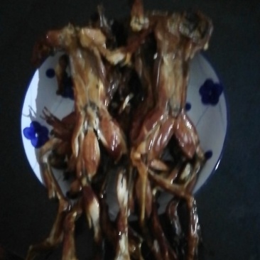 腊牛蛙