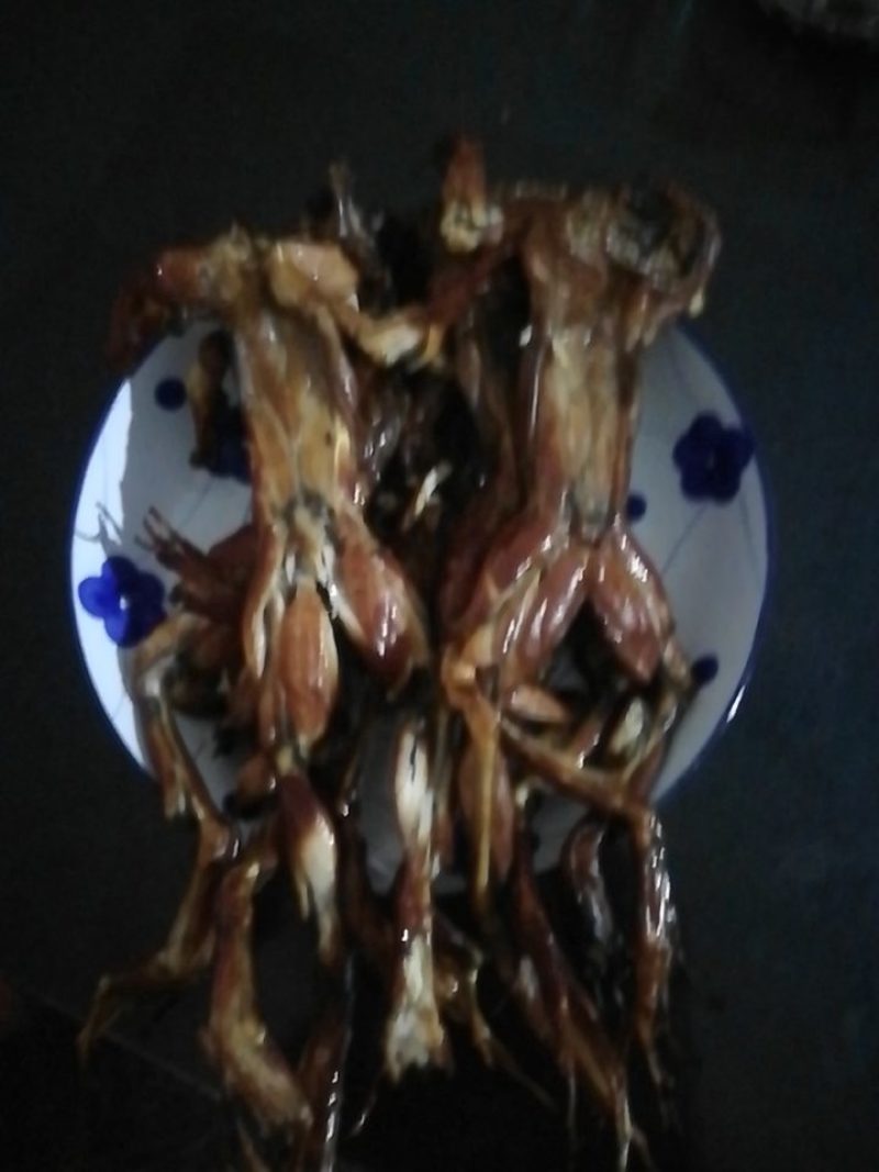 腊牛蛙
