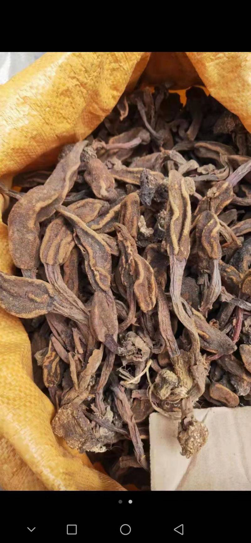 回春草，顶天柱山货量大从优