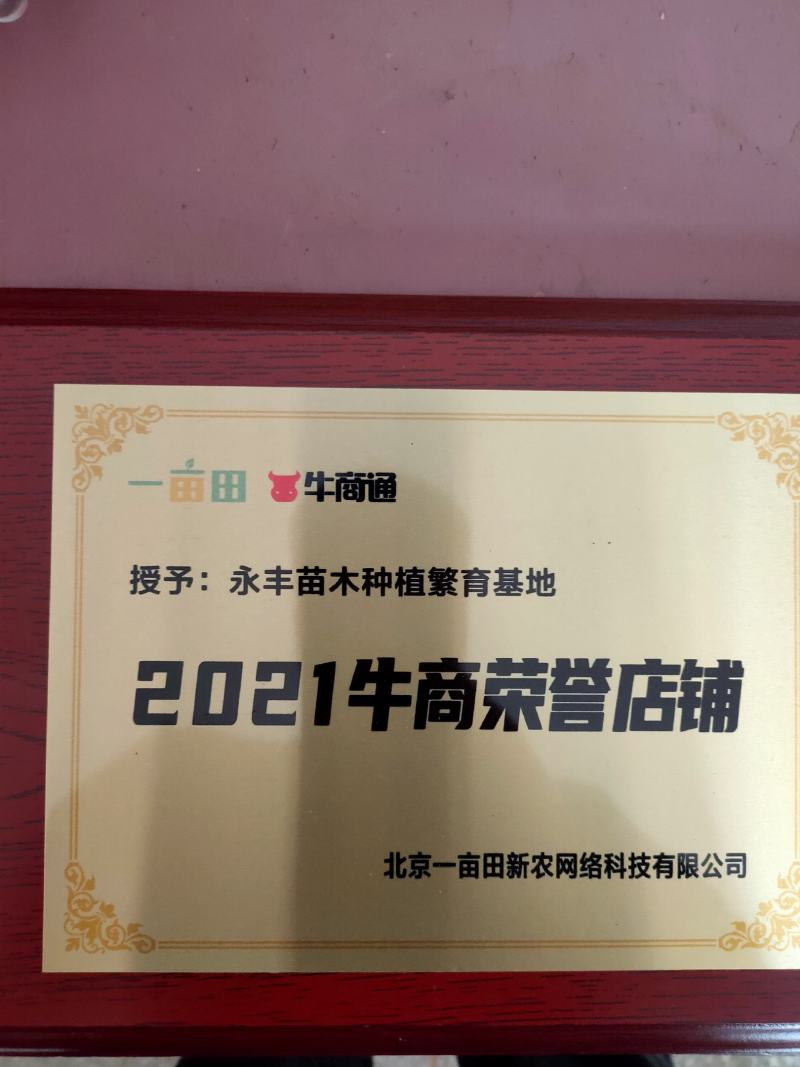 新品种“新玉梨”苏翠一号，沪晶18，超月，山农，新华接穗