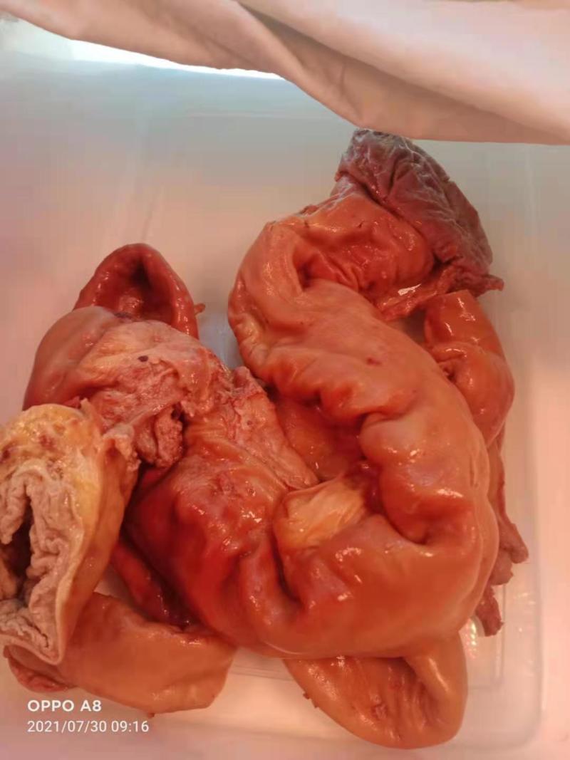张家口市桥东区刘记驴肉店