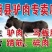 张家口市桥东区刘记驴肉店