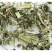 益母草中药材益母草无硫无添加经营各种规格中草药