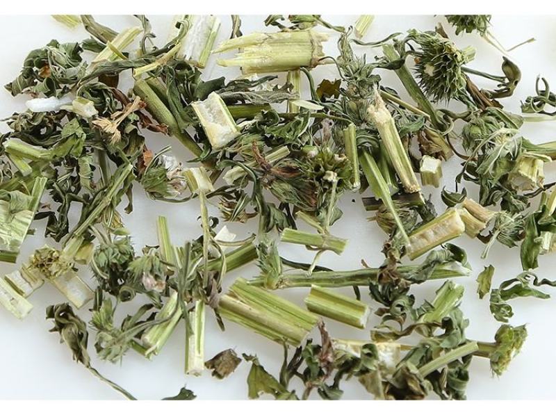 益母草中药材益母草无硫无添加经营各种规格中草药