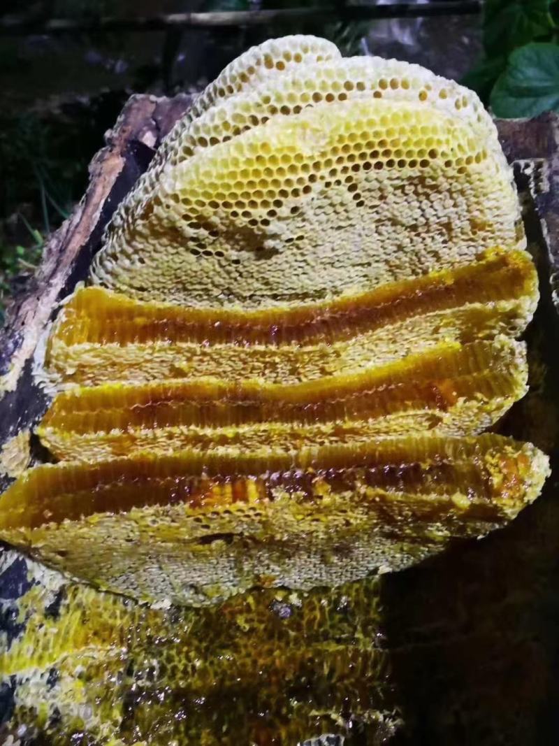 【甘肃】土蜂蜜一手货源充足，自然成熟一件代发，包邮价格