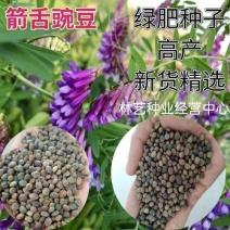 箭筈豌豆种子绿肥种子野豌豆麻豌豆种子牧草种子箭舌豌豆种子