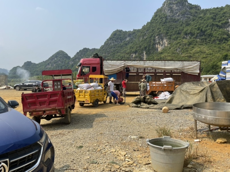 夏威夷果