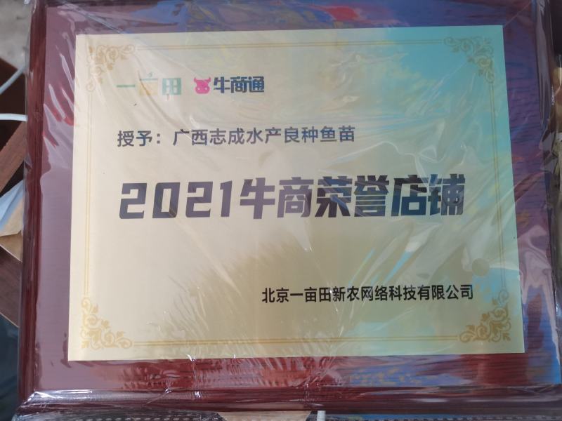 【澳洲龙虾苗】澳洲龙虾苗、澳龙苗、场地直供、买家保障