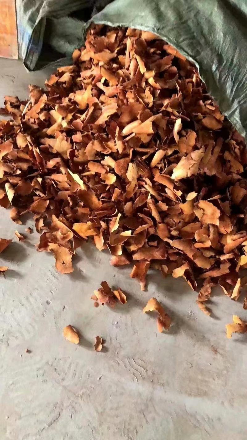 土茯苓(包邮)，3斤批发，零售量大从优，