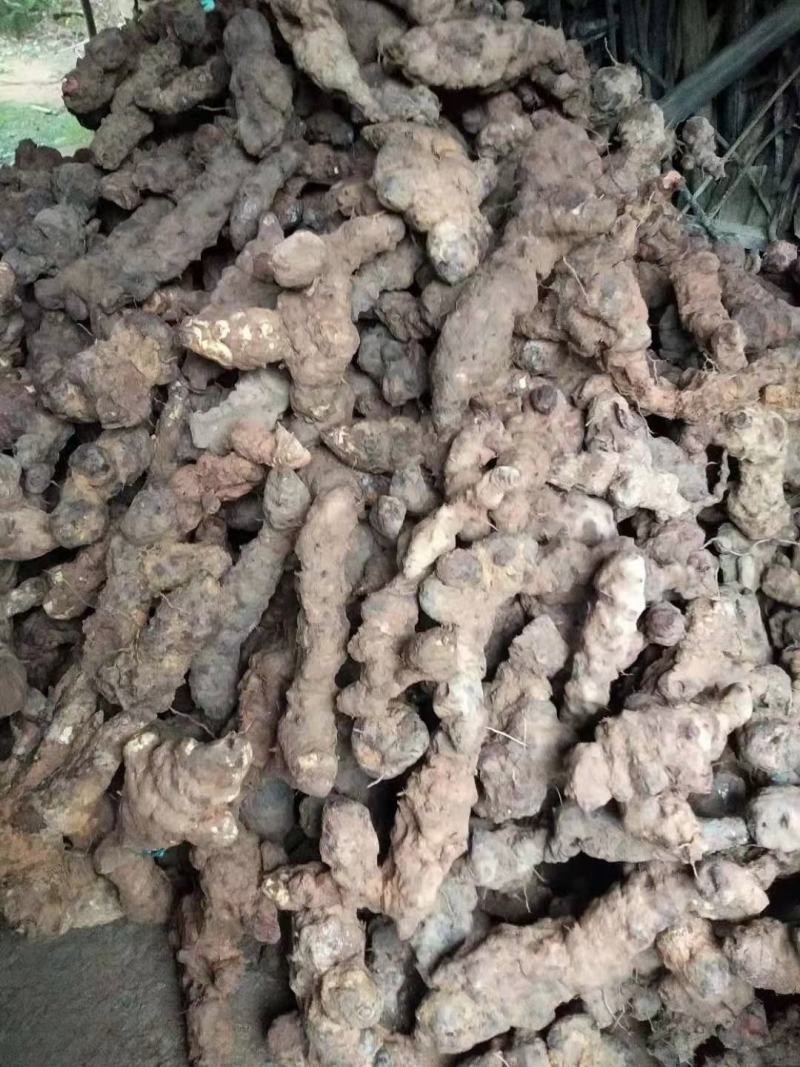 土茯苓(包邮)，3斤批发，零售量大从优，