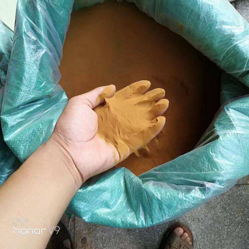 海金沙(包邮)，3斤批发，零售量大从优
