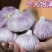 金乡大蒜农家紫白大蒜大蒜头干蒜蒜香浓郁辛辣多汁爽