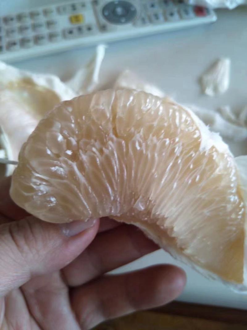 蜜柚湖北蜜柚品种齐全品质好精选老树皮薄味甜汁多肉厚