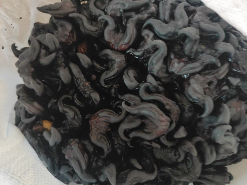 湖南蜕皮老菱角新鲜乌菱角自然成熟生吃脆甜熟吃粉糯香凌角