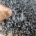 湖南蜕皮老菱角新鲜乌菱角自然成熟生吃脆甜熟吃粉糯香凌角