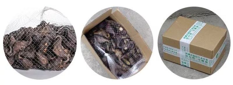 湖南蜕皮老菱角新鲜乌菱角自然成熟生吃脆甜熟吃粉糯香凌角