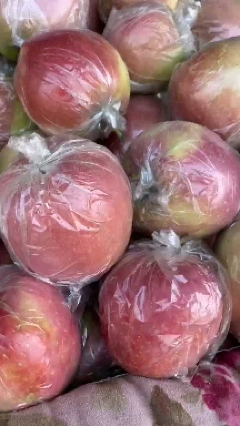 斗南苹苹果，产地直供，欢迎广大客商前来选购，真诚对待每一