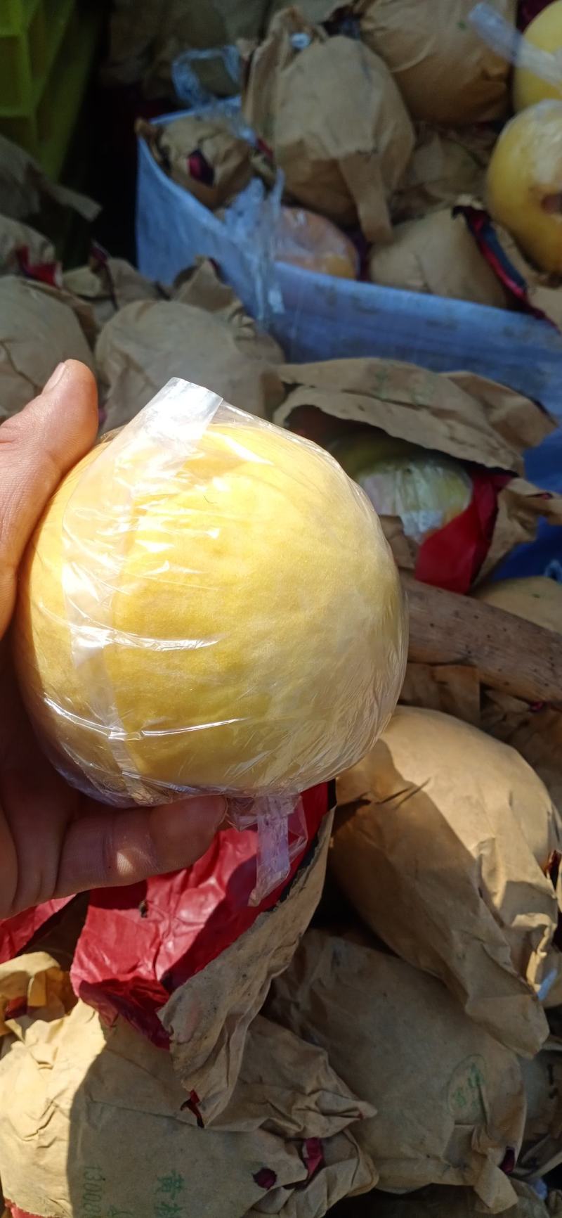 高山黄桃脆甜多汁质量保证可视频看货