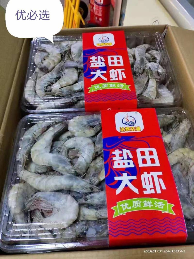 盐田大虾，个头大，新日期