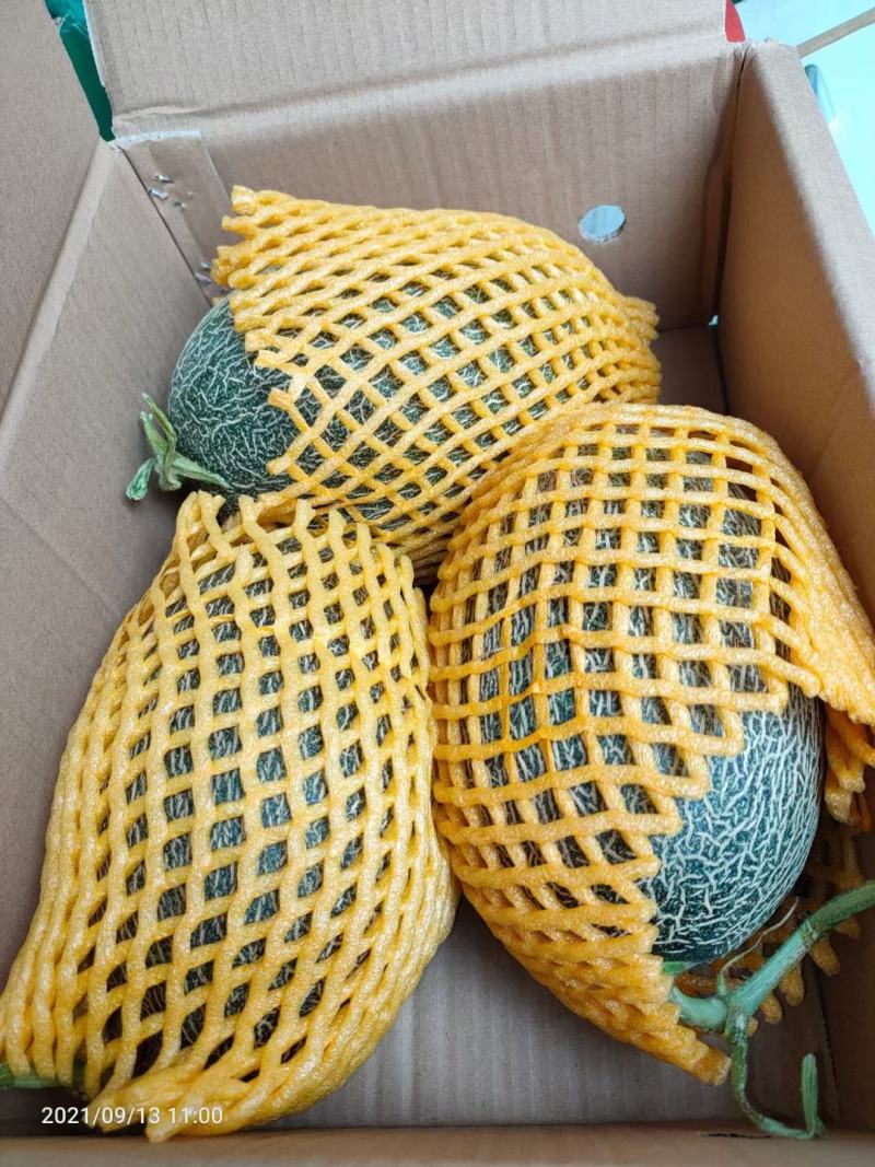 精品礼品盒装哈密瓜，中秋送礼必备