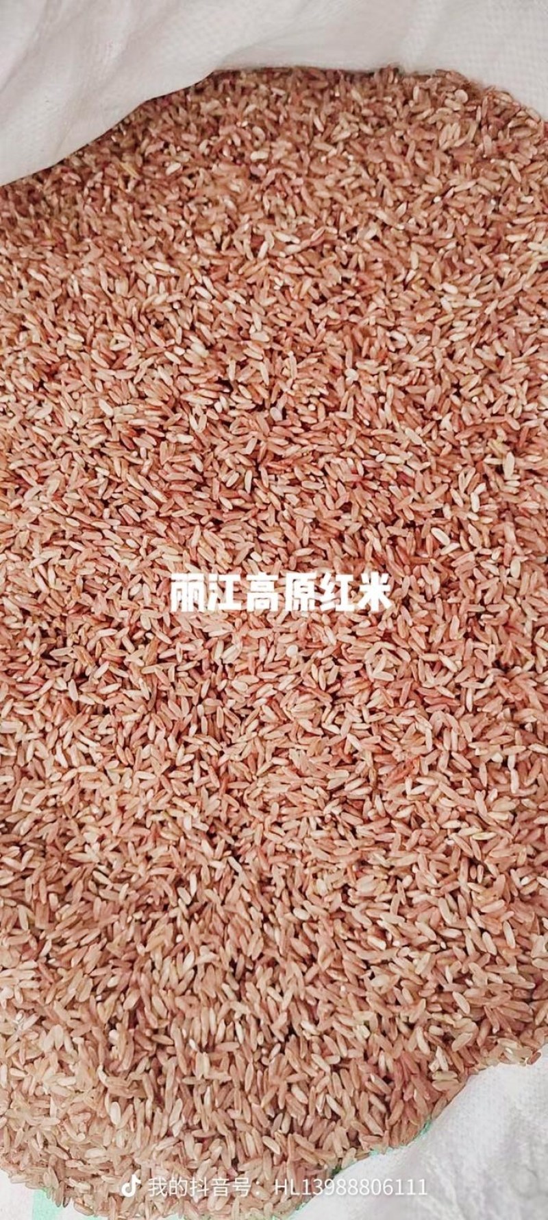 紅米
