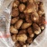 山东优质毛芋头种植基地新芋头大量上市，可供超市，市场电商