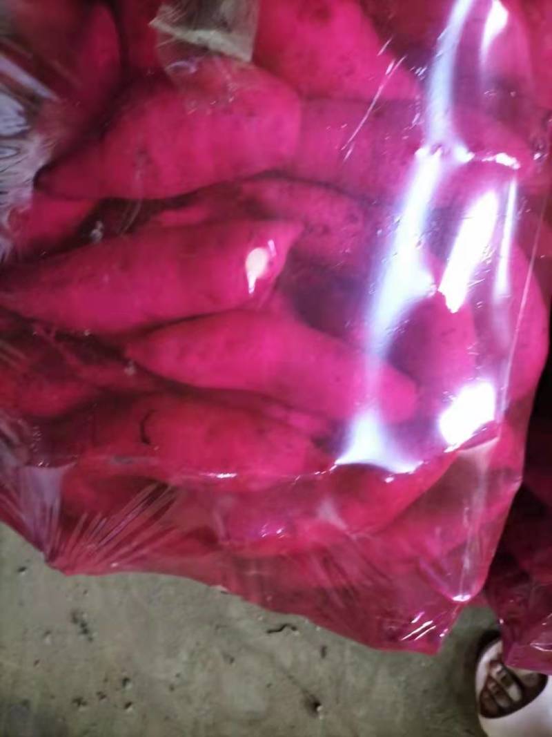烟薯产地直销批发零售业务香甜软糯细腻饱满圆润