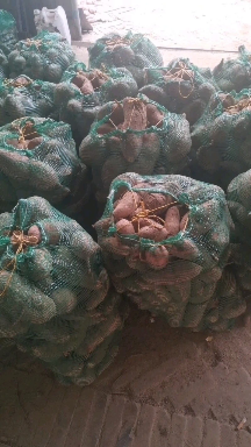烟薯产地直销批发零售业务香甜软糯细腻饱满圆润