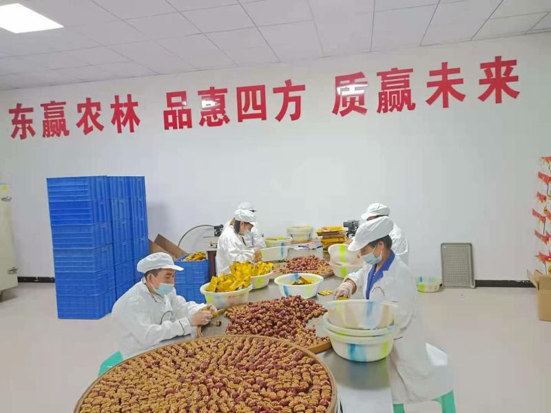 枣夹核桃甘肃美食特色甘肃玉门扶贫车间加工厂