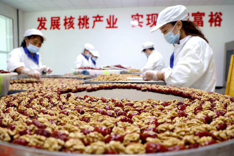 枣夹核桃甘肃美食特色甘肃玉门扶贫车间加工厂