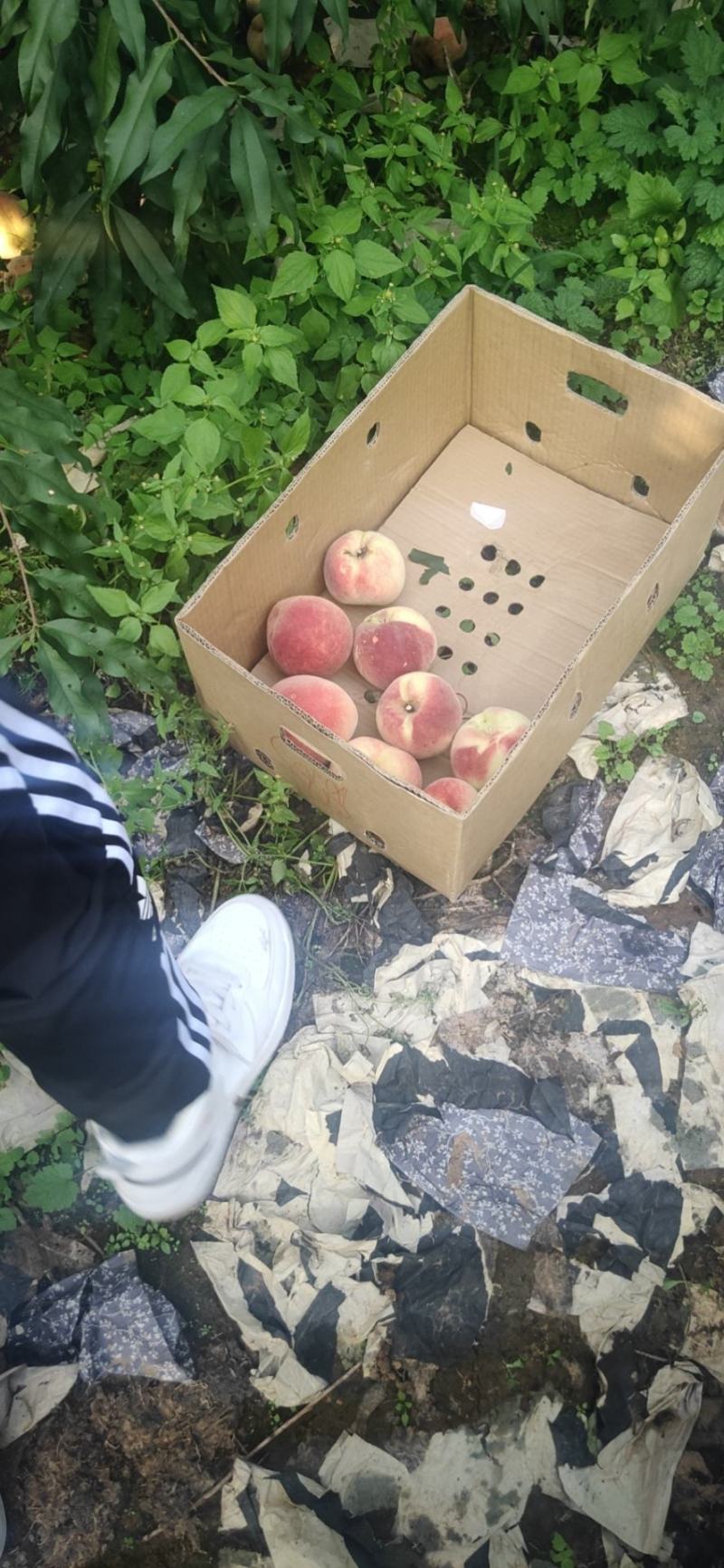 自产自销，没有中间商