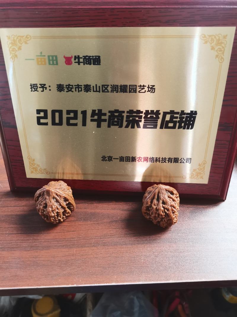维纳斯黄金苹果苗基地直销现挖现发保证品种保湿邮寄提供技术