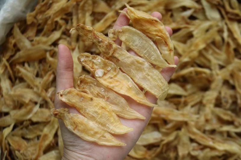 180头原装厚肉金龙条鱼胶花胶批发足干原装原货厚肉