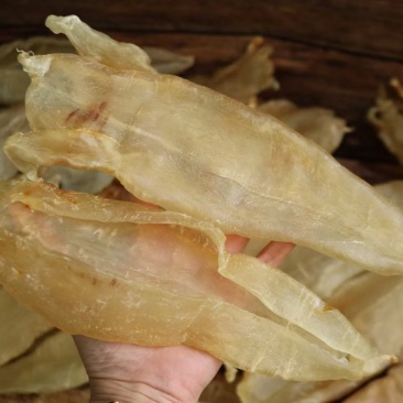 4头巴西闭合北海母鱼胶花胶批发漂亮货足干货