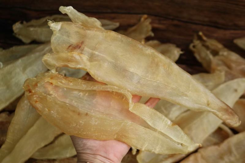 4头巴西闭合北海母鱼胶花胶批发漂亮货足干货