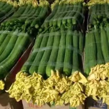 鲜花丝瓜，瓜条直，颜色绿，货架期长耐运输。