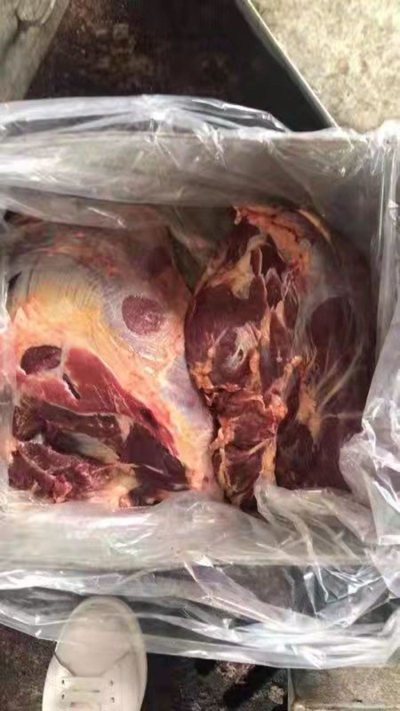 本厂大量生产熟牛肉，物优价廉质量保证，支持样品
