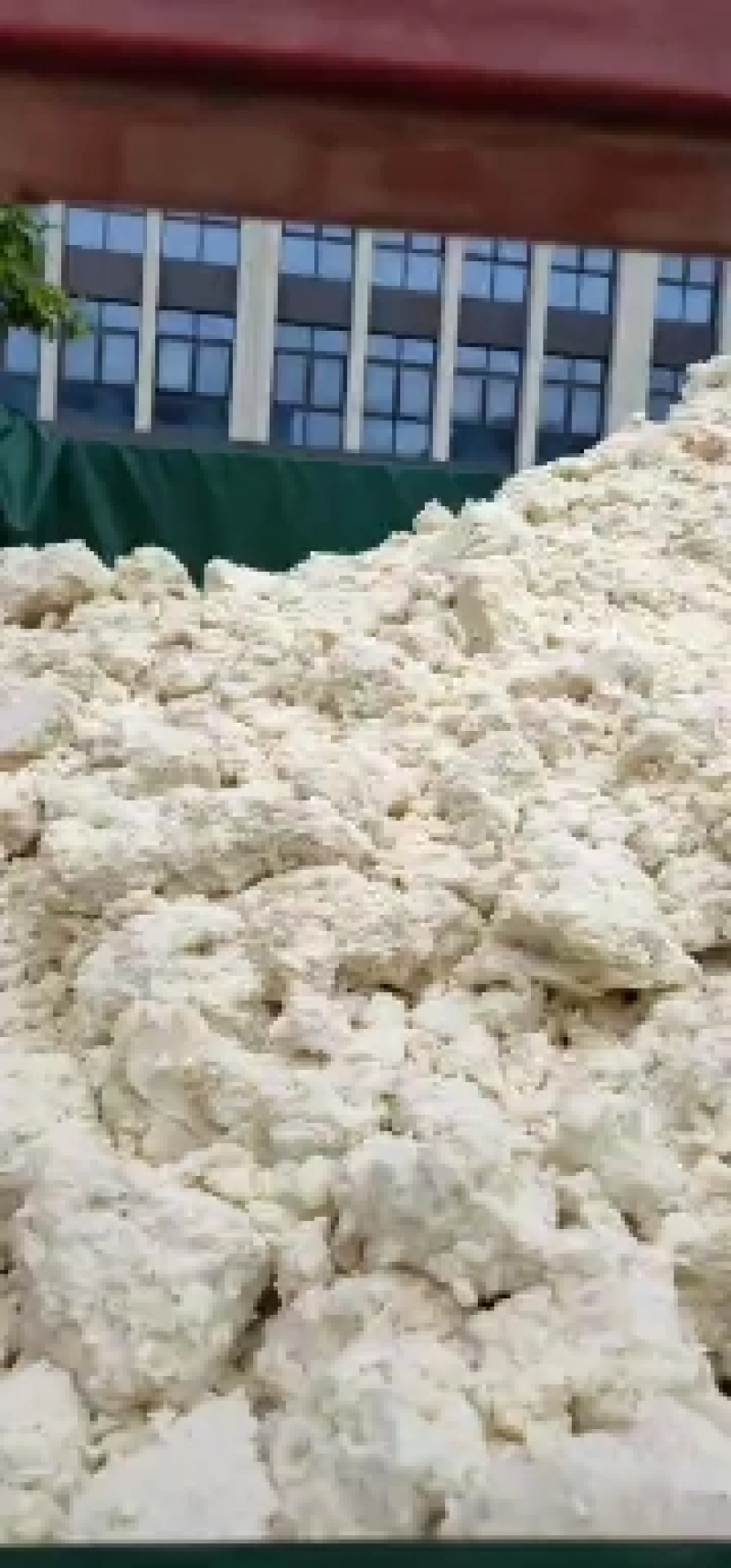 饲料豆腐渣养殖业的喜爱。